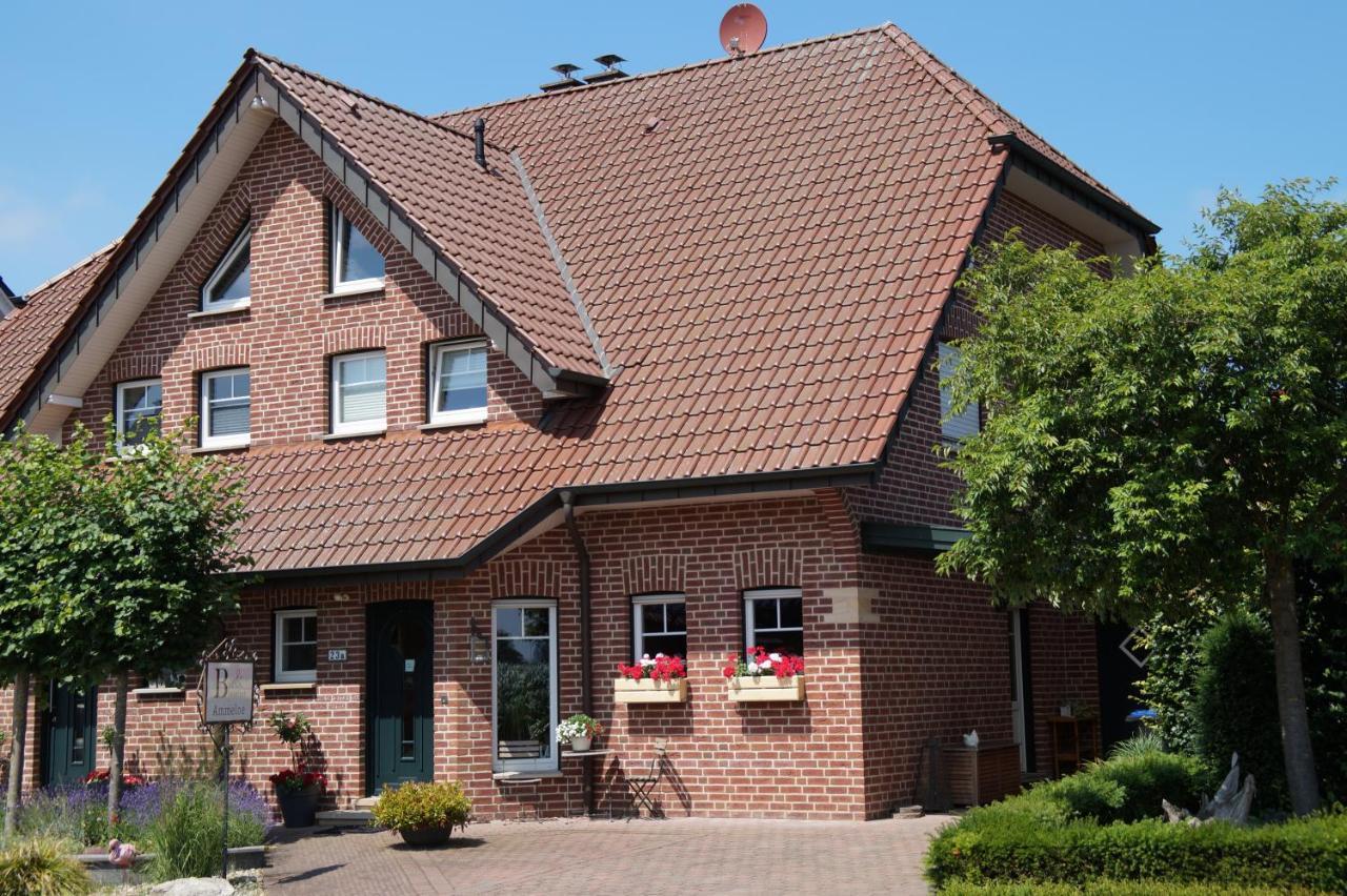 Bed And Breakfast Ammeloe Vreden Exterior photo