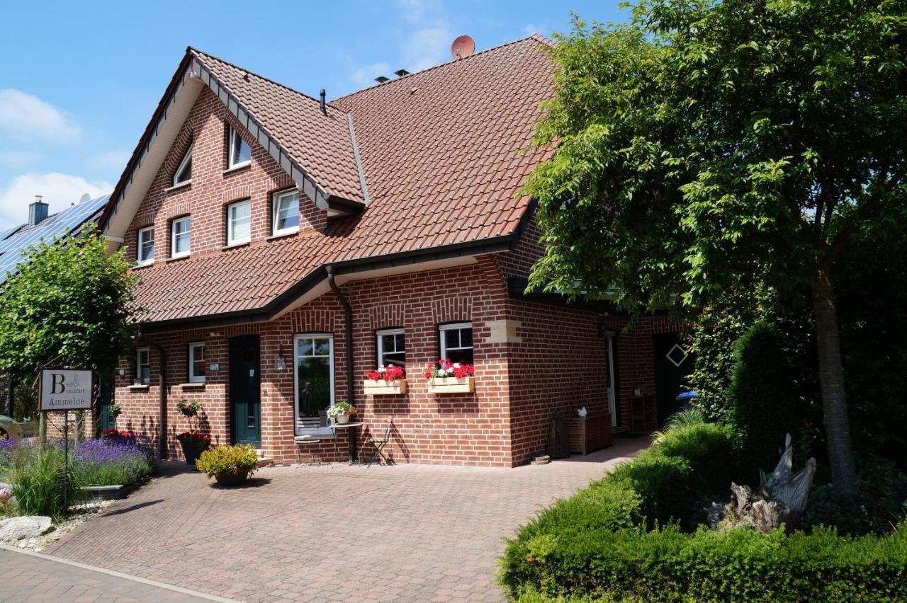 Bed And Breakfast Ammeloe Vreden Exterior photo